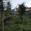 Bán đất gần cầu gạch 2 QL57B đường vào 300m - Ảnh thu nhỏ 8