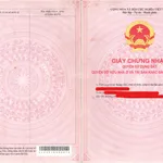 Bán QSDĐ và TS gắn liền với đất tại thửa đất số: 125, tờ bản đồ số: 28, X. Tà Đùng, T. Lâm Đồng - Ảnh thu nhỏ 3