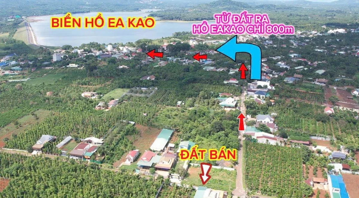 Bán đất thổ cư 10x26m sổ hồng, mặt tiền đường nhựa, phường Ea Kao, Buôn Ma Thuột - Ảnh thu nhỏ 2