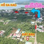 Bán đất thổ cư 10x26m sổ hồng, mặt tiền đường nhựa, phường Ea Kao, Buôn Ma Thuột - Ảnh thu nhỏ 2