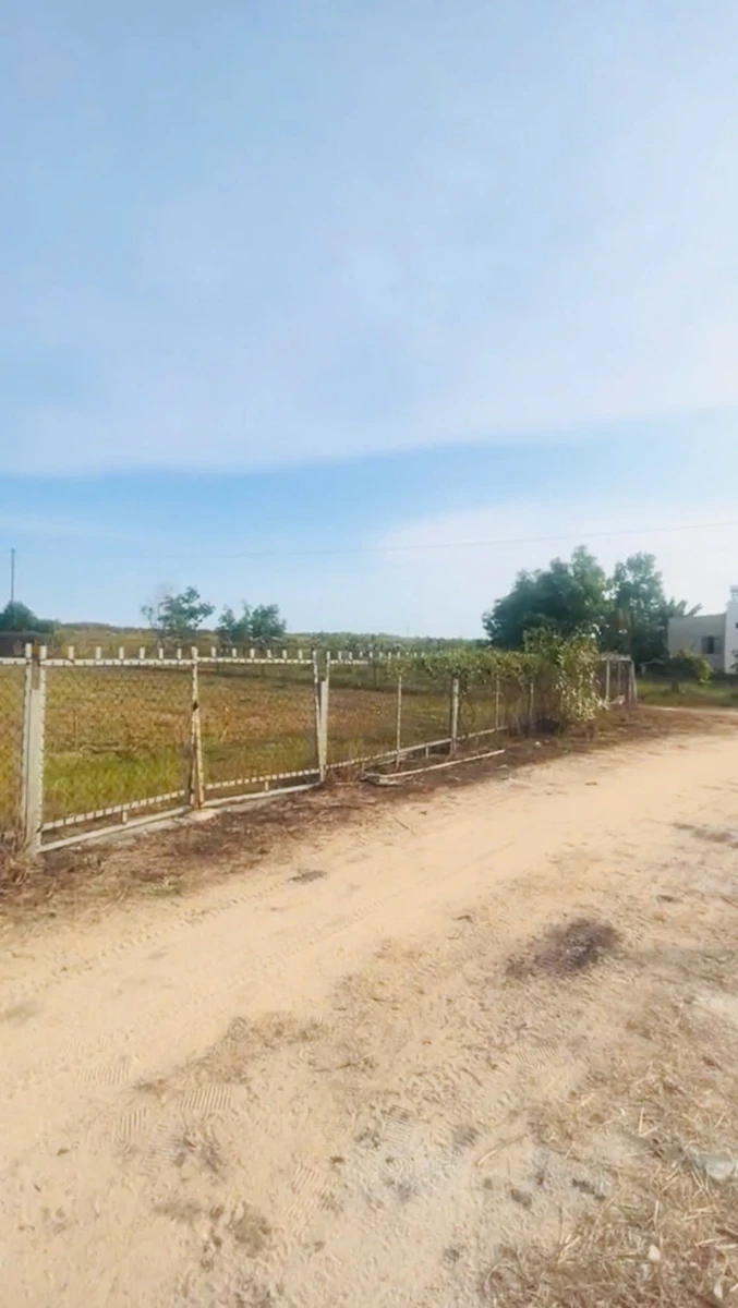 Bán đất nền Lagi 1061m2 cách biển 2km, giá 1,1 tỷ - Ảnh 1