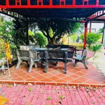 Bán nhà vườn 1.333m² Thôn 5 Hàm Liêm 1 tỷ 450 triệu - Ảnh thu nhỏ 5