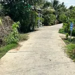 Bán đất vườn dừa 1160m² Phú Tân Cần Giờ 1 tỷ 700 triệu - Ảnh thu nhỏ 4