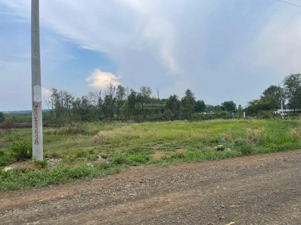 Đáo hạn ngân hàng cần bán gấp 1 sào (1029,3m2), dân cư đông, gần KCN Việt - Nhật, giá 450 triệu - Ảnh 1