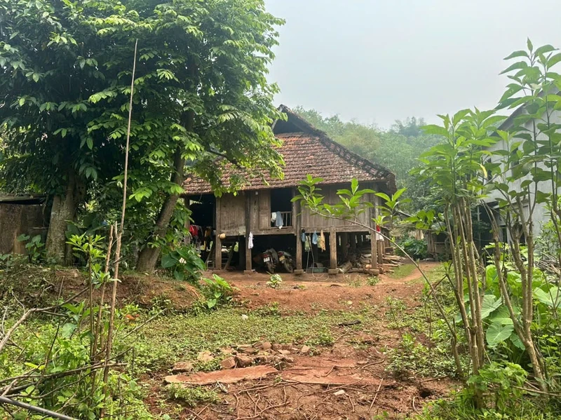 Bán đất 1.500m² Mường Hoa Phú Thọ hơn 600 triệu