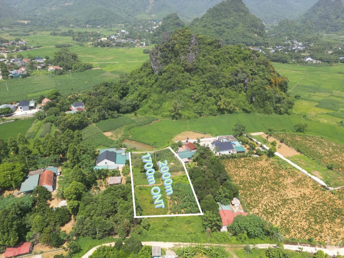 Bán đất nông nghiệp 2000 m² Thanh Oai Hà Nội - Ảnh thu nhỏ 2