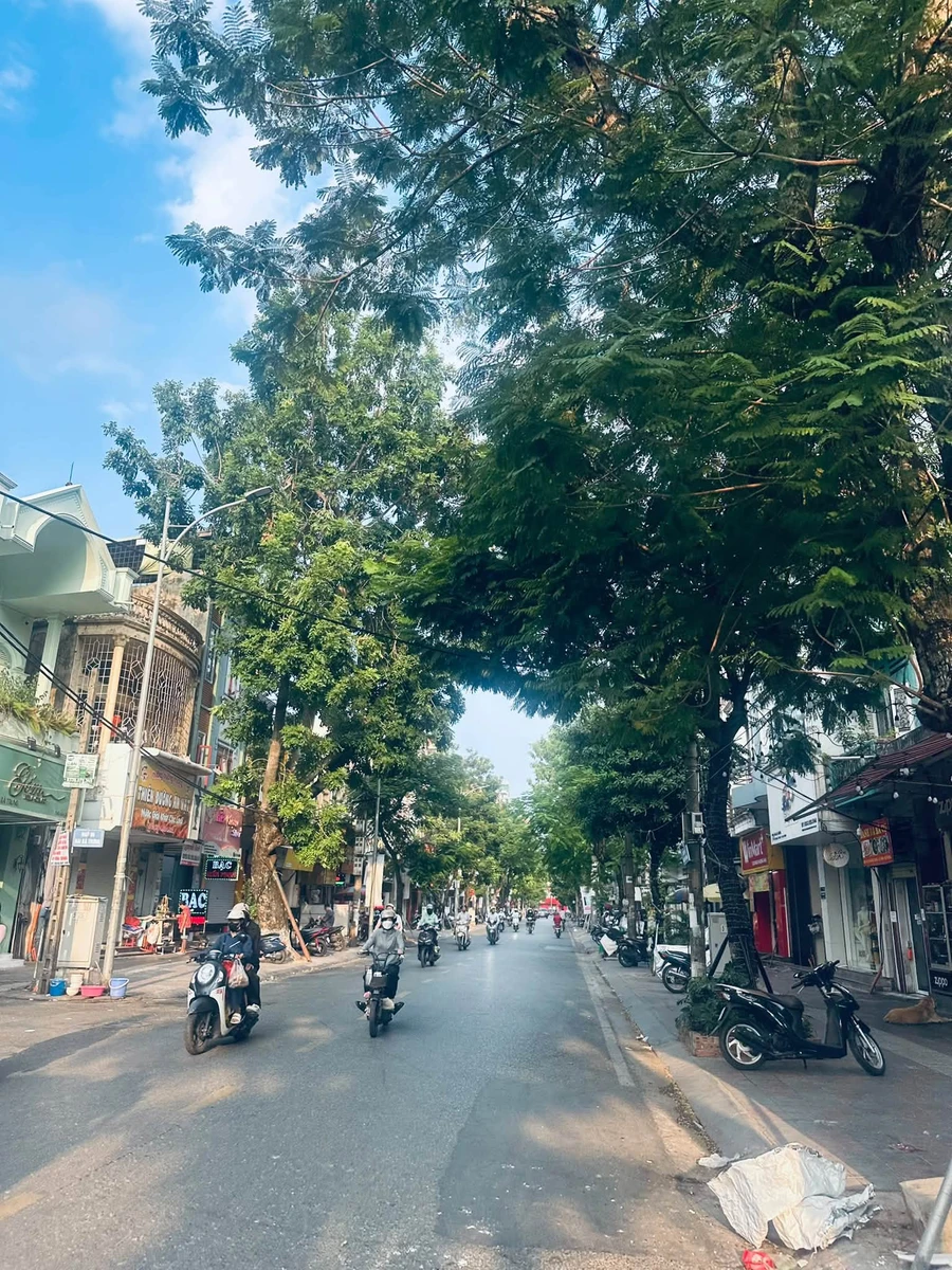 Bán nhà Nguyễn Đức Cảnh 52m² giá 3,25 tỷ Hải Phòng - Ảnh 1