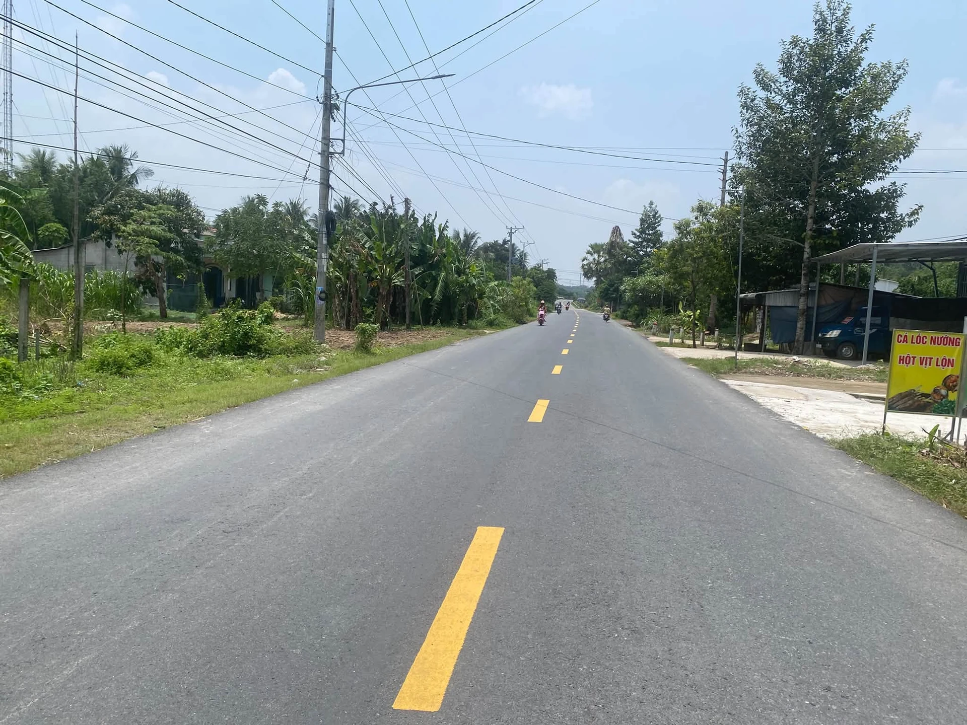 Bán đất ruộng 3,6 công mặt tiền QL54 xã Phong Thạnh - Ảnh 1