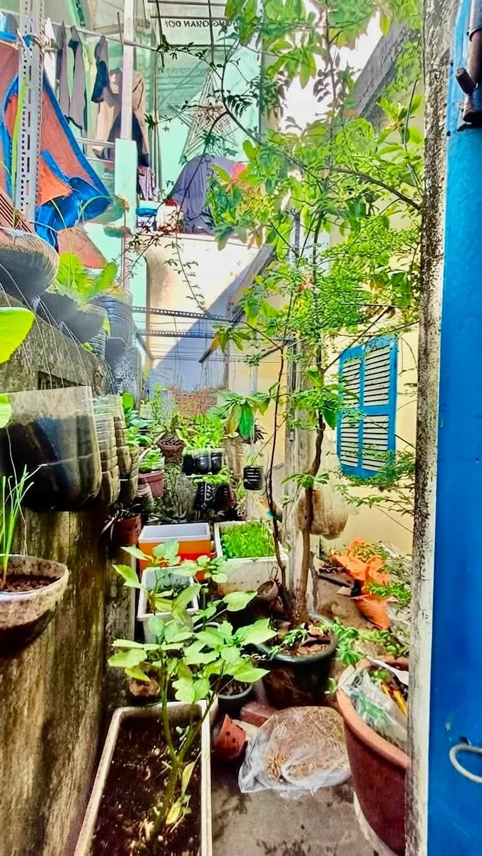 Bán nhà cấp 4 193m2 mặt ngang 10m gần Phan Xích Long, Phường 7, Phú Nhuận giá 20 tỷ - Ảnh thu nhỏ 2
