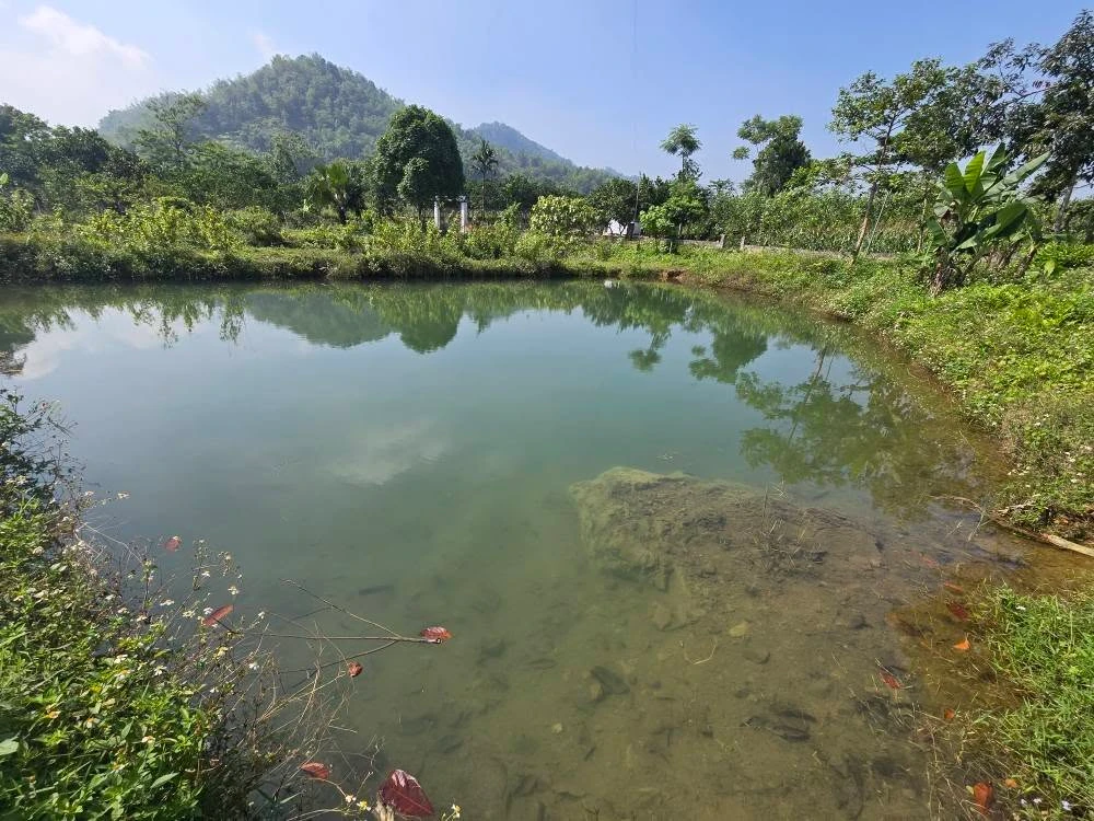 Bán đất 3000 m² tại Đà Bắc, Hòa Bình dưới 2 tỷ - Ảnh thu nhỏ 4