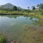 Bán đất 3000 m² tại Đà Bắc, Hòa Bình dưới 2 tỷ - Ảnh thu nhỏ 4