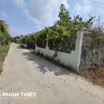 Bán đất mặt tiền 335 m² gần KCN Phan Thiết, Bình Thuận - Ảnh thu nhỏ 2