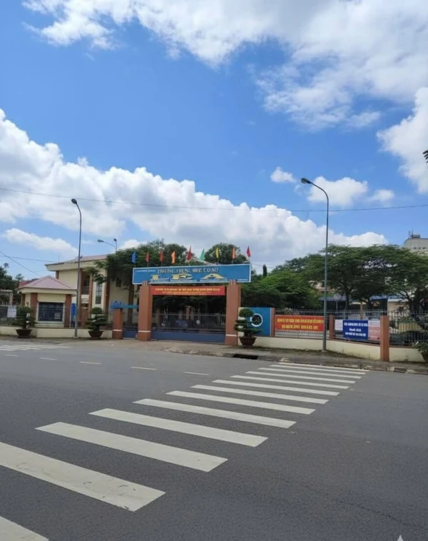 Nhà vườn 6200m² bán Xuân Lộc 3,2 tỷ ty699