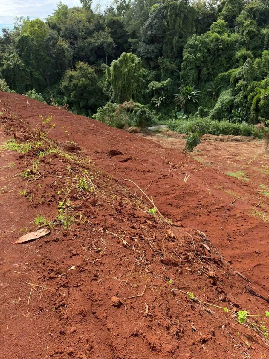 Bán đất đỏ 1 hectare gần khu dân cư, 1 tỷ - Ảnh thu nhỏ 2