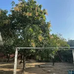 Bán lô đất 450m2 sổ riêng gần Công Ty Chang shin - Ảnh thu nhỏ 4