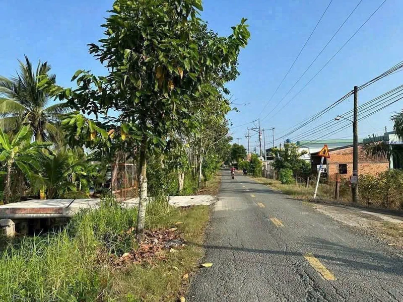 Bán đất mặt tiền 1100m2 gần Tân An, Long An