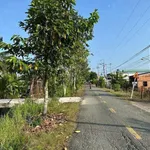 Bán đất mặt tiền 1100m2 gần Tân An, Long An - Ảnh thu nhỏ 1