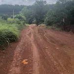 Bán đất 1000m2 ở Đồng Phú, 290 triệu - Ảnh thu nhỏ 3