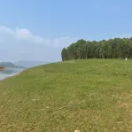 Bán quả đảo tròn trịa đẹp ở hồ Thác Bà 1,6ha giá 2,2 tỷ - Ảnh thu nhỏ 10