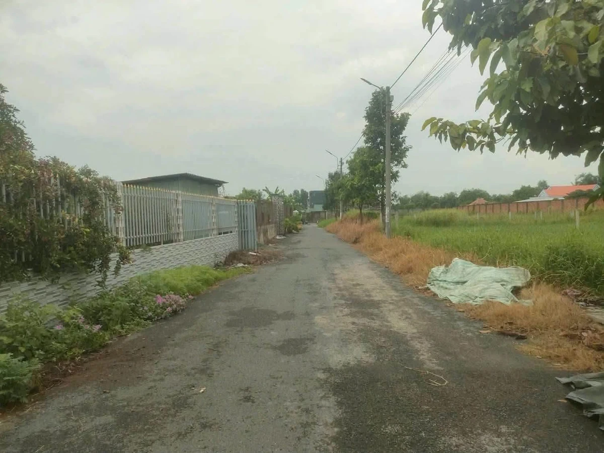 Bán đất thổ cư 5x25m Cần Đước Long An 850 triệu - Ảnh 1