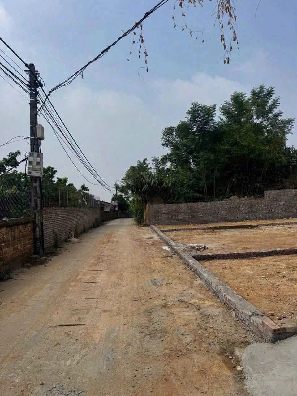 Bán lô đất 2 mặt tiền 201m2 ở Ba Vì, Hà Nội - Ảnh 1