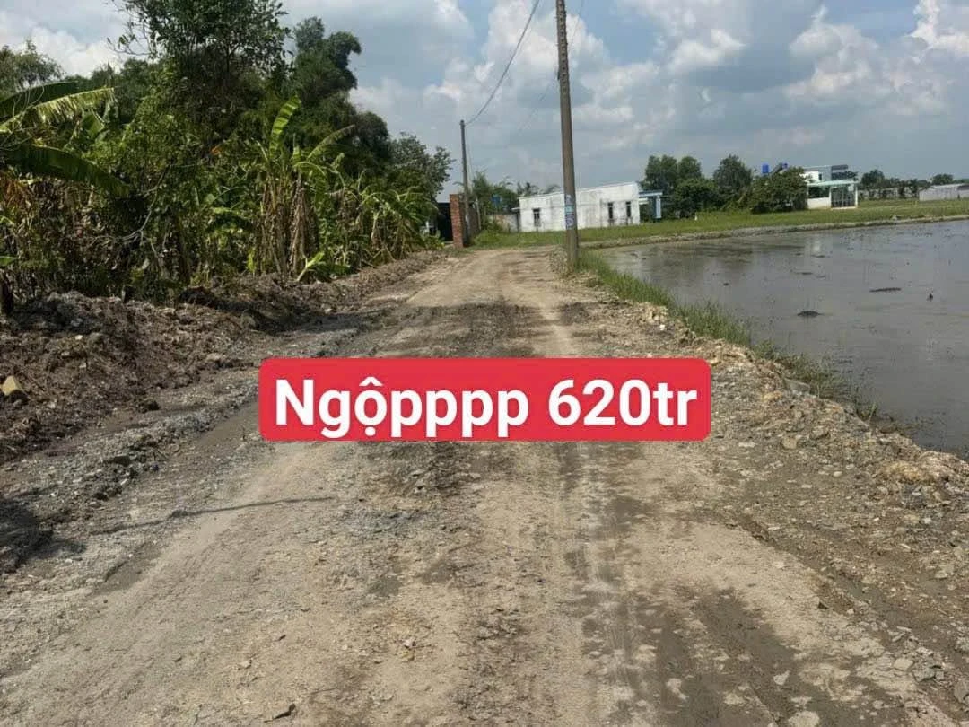 Bán lô đất 5x21.7m đường 823D, 620 triệu - Ảnh 1