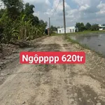 Bán lô đất 5x21.7m đường 823D, 620 triệu - Ảnh thu nhỏ 1