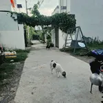 Bán đất hẻm xe hơi Hà Thanh Nha Trang 52.4m2 - 2 tỷ 290 triệu - Ảnh thu nhỏ 5