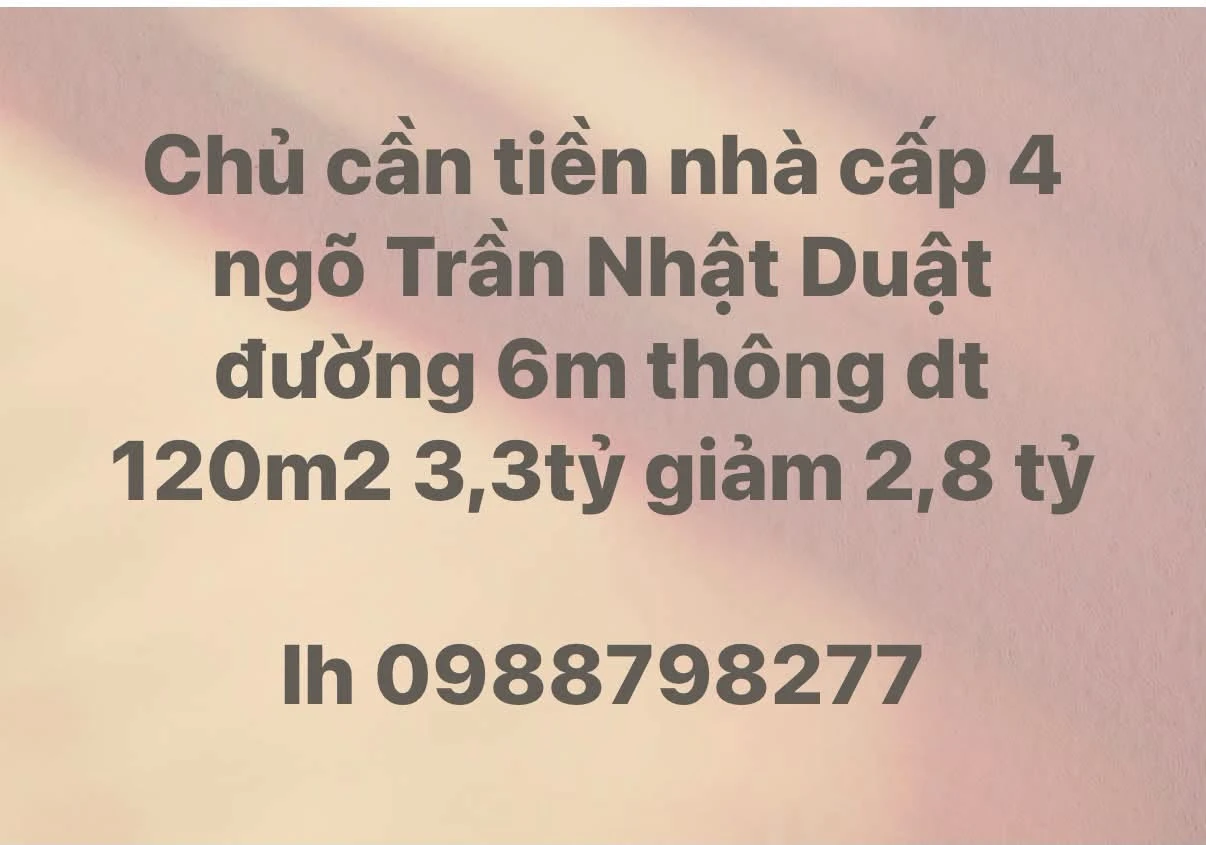 Bán đất kèm nhà cấp 4 119,5m2 ngõ 77A Trần Nhật Duật, phường Thành Vinh, Nghệ An - Ảnh 1