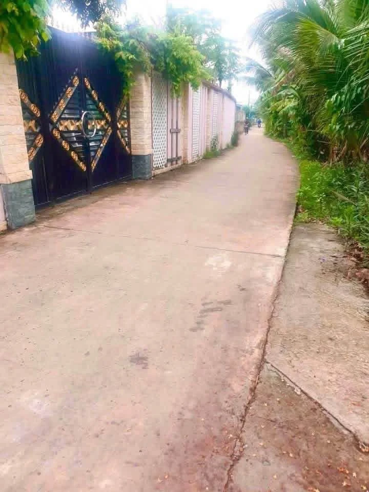 Bán đất nền thổ cư 5x34m, mặt tiền đường bê tông 3,5m, xã Long Cang, Cần Đước - Ảnh 1