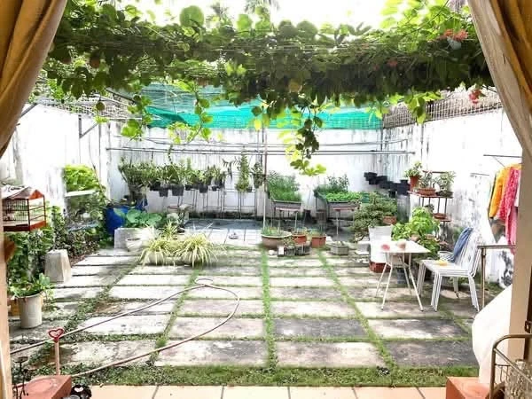 Nhà mặt tiền Nguyễn Huệ 323m² 3PN Bến Tre 15 tỷ - Ảnh thu nhỏ 4