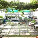 Nhà mặt tiền Nguyễn Huệ 323m² 3PN Bến Tre 15 tỷ - Ảnh thu nhỏ 4