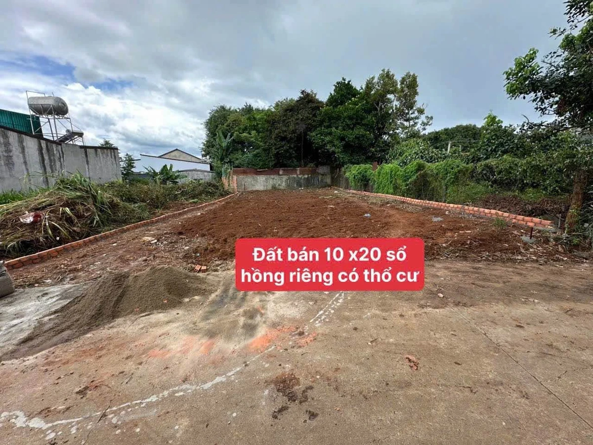 Bán đất 200m² xây nhà vườn gần chợ Phan Huy Chú, 1 tỷ 350 - Ảnh thu nhỏ 2