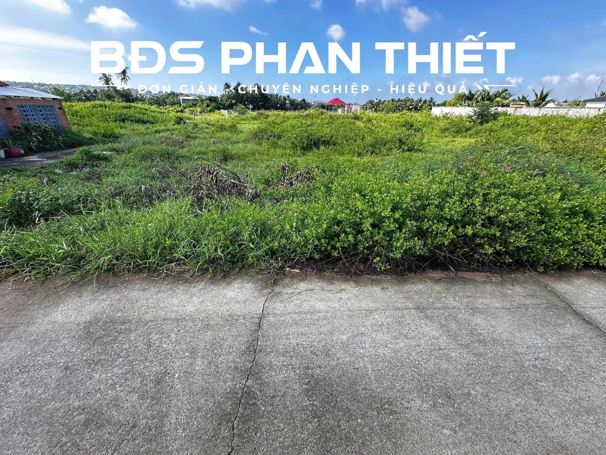 Bán đất Phú Xuân 996m² sổ sẵn 1 tỷ 600 triệu - Ảnh thu nhỏ 4