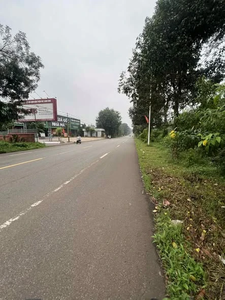 Bán lô đất mặt tiền Quốc lộ 56, 218m² Bình Ba - Ảnh thu nhỏ 3