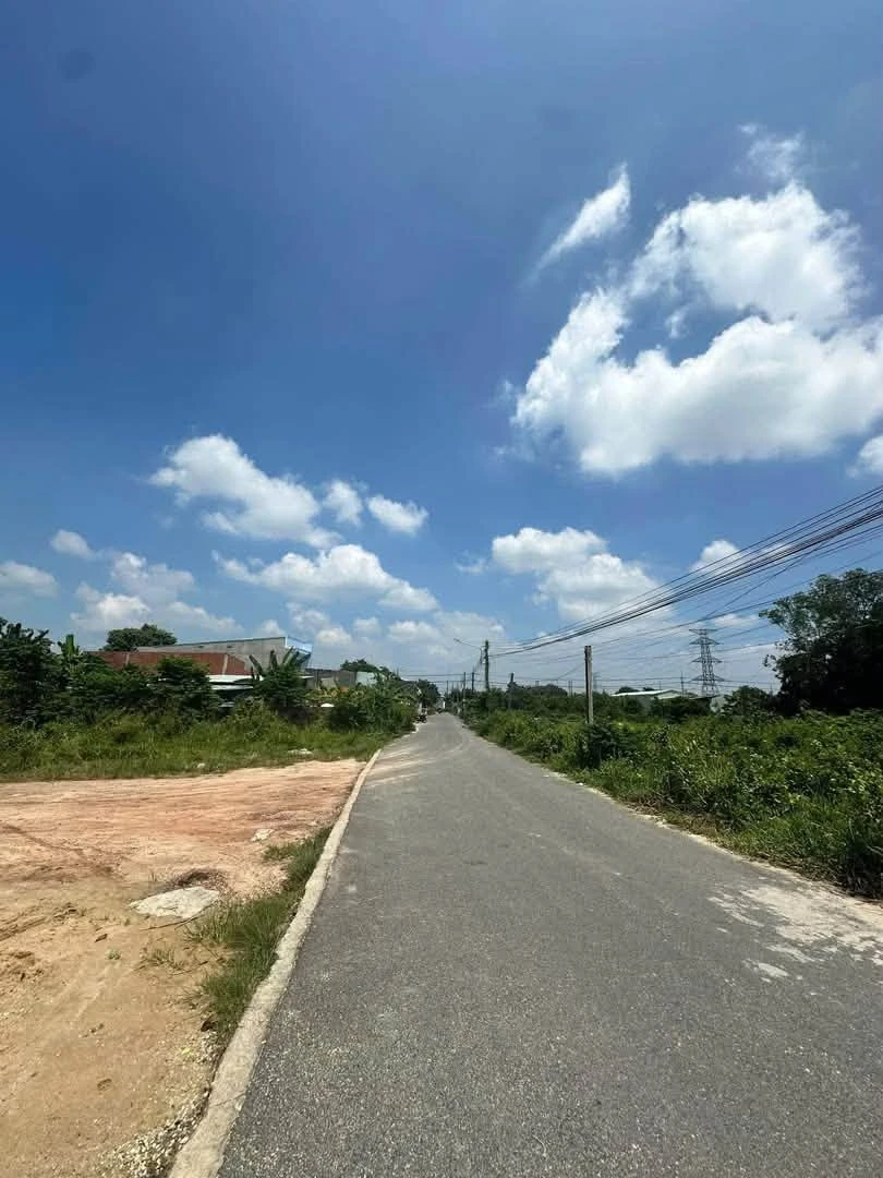 Bán đất nở hậu 1.170m2 giá 4,5 tỷ, sẹc 7A Hùng Vương, An Điền, Bình Dương - Ảnh thu nhỏ 4