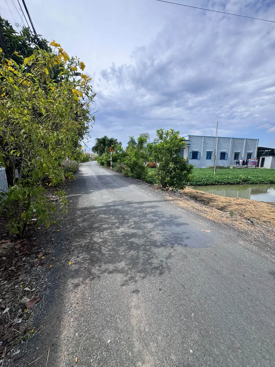 Bán đất lúa 1000m² mặt tiền đường Phạm Thị Kiều, Xã Phước Lý, Củ Chi - Ảnh thu nhỏ 3