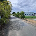 Bán đất lúa 1000m² mặt tiền đường Phạm Thị Kiều, Xã Phước Lý, Củ Chi - Ảnh thu nhỏ 3