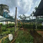Bán đất mặt tiền đường T1 4,5x32m gần chợ Eatu, Quốc lộ 14, giá 1 tỷ 490 - Ảnh thu nhỏ 3