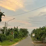 Bán đất 100m² Tân Châu Tây Ninh 770 triệu - Ảnh thu nhỏ 2