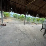 Bán đất nhà vườn Chơn Thành 2000 m² - Ảnh thu nhỏ 2
