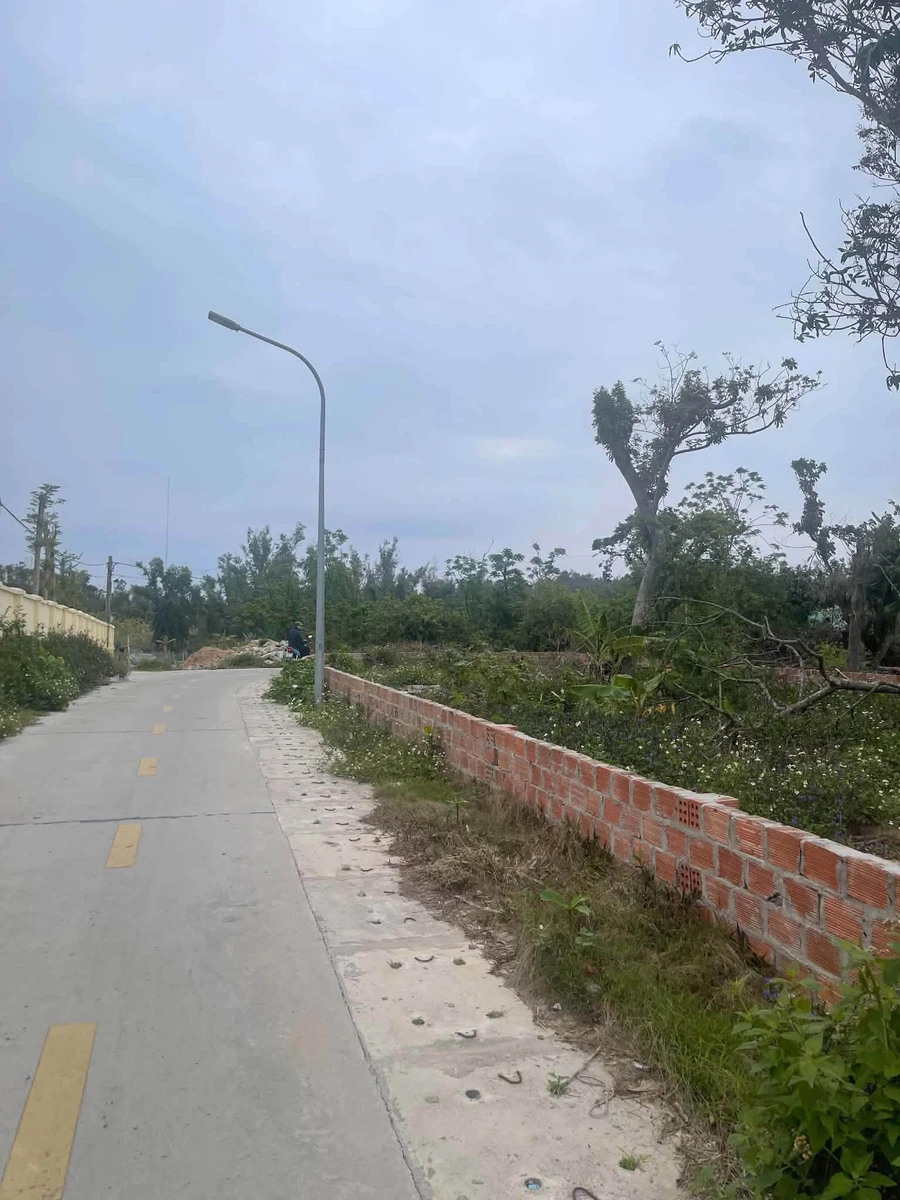 Bán lô đất góc 3 mặt tiền 600m² Đảo Cô Tô - Ảnh thu nhỏ 2