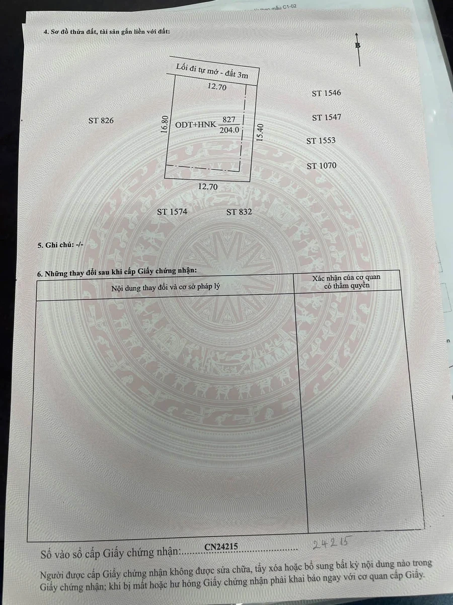 Bán đất Phú Mỹ 204m² gần TP Mới Bình Dương - Ảnh 1