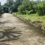Bán đất 9 trăm 90 triệu đường xe hơi - Ảnh thu nhỏ 4