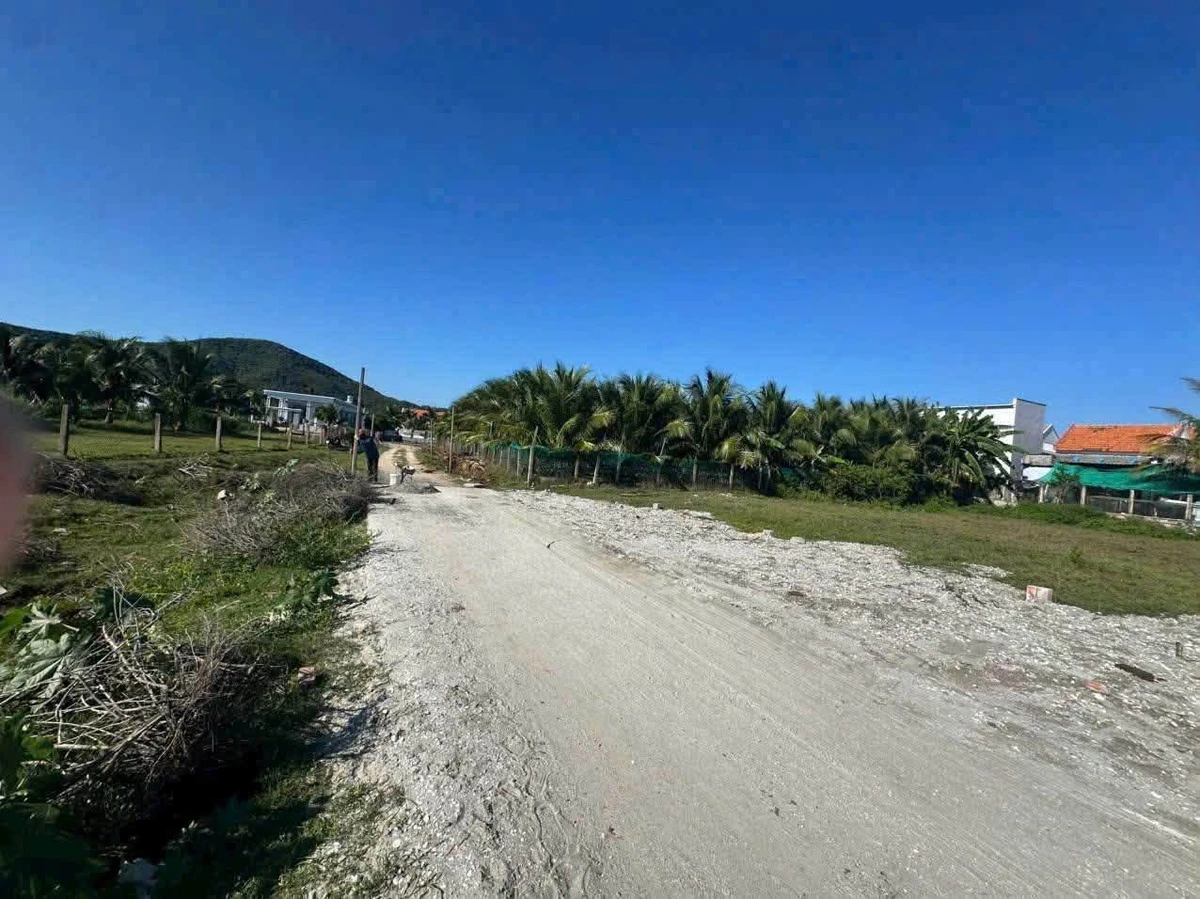 Bán lô đất biển 137 m2 tại Đông Cát, 1,8 tỷ - Ảnh thu nhỏ 3