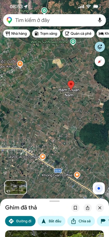 Bán đất vườn thanh long 6.2 sào tại Hàm Thuận Nam, giá 1.5 tỷ