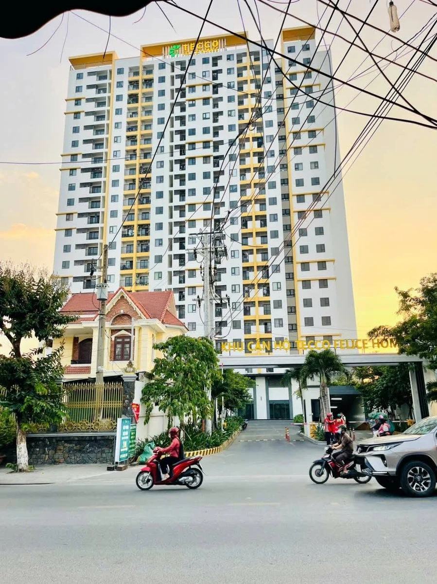 Bán đất mặt tiền Lê Thị Trung 300m2, An Phú, Thuận An, Bình Dương, giá 13,2 tỷ - Ảnh thu nhỏ 2