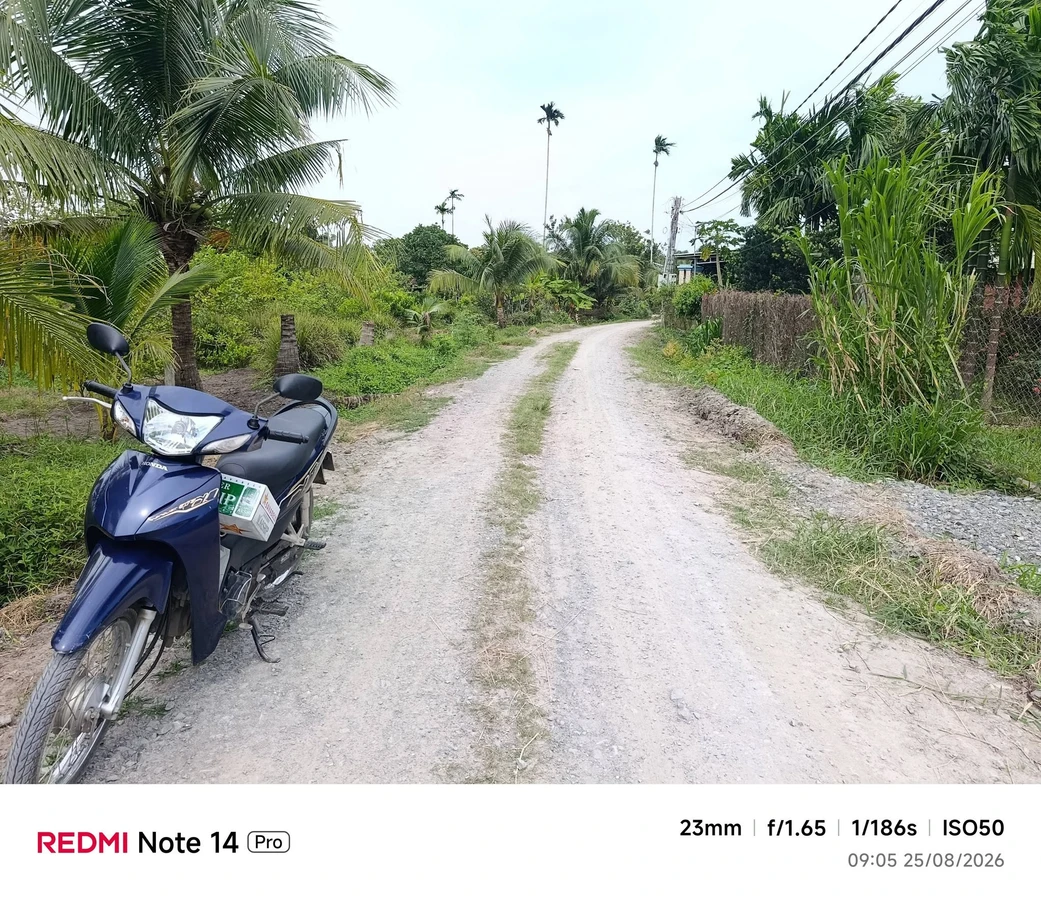 Bán đất Phường An Tịnh, Trảng Bàng, 50m², 590 triệu - Ảnh thu nhỏ 5
