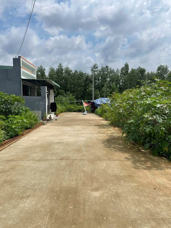 Bán lô đất 5x20m gần chợ Thạnh Phú, Biên Hòa, 1 tỷ 1
