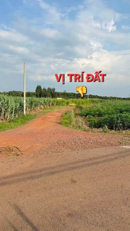 Bán 1 sào đất Hưng Thịnh Đồng Nai 1000m² chỉ 490 triệu